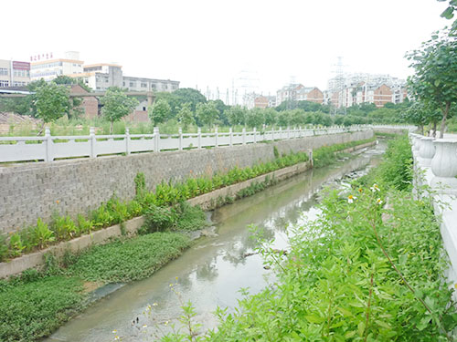 河涌挡墙