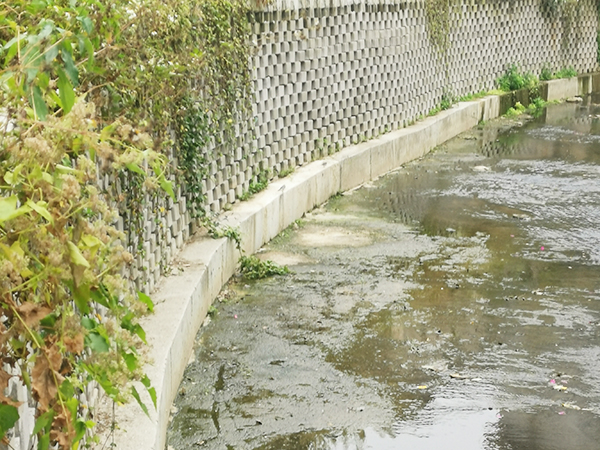 植栽型生态挡墙砌块销...