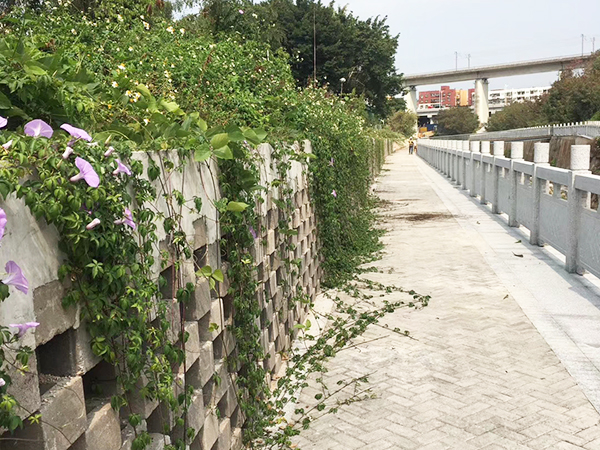 路边植栽型生态挡墙砌...