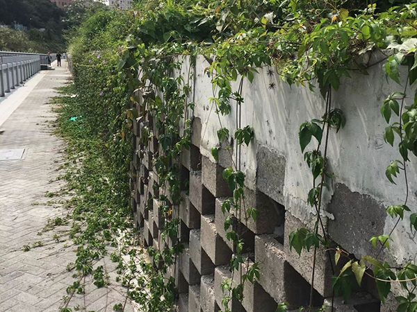 植栽型生态挡墙砌块定...