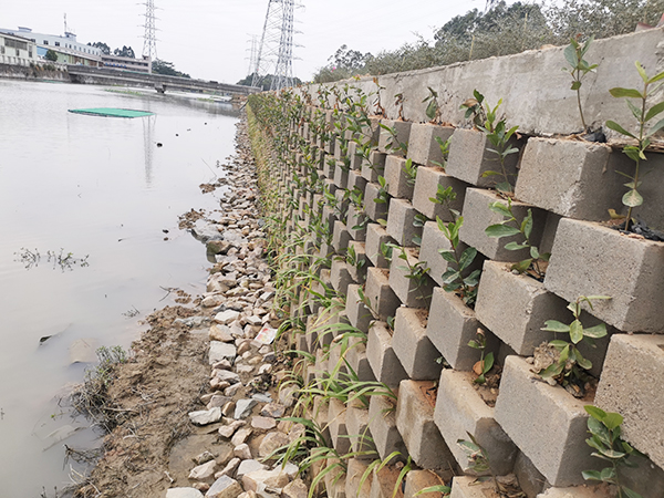 东莞河边植栽型生态挡...
