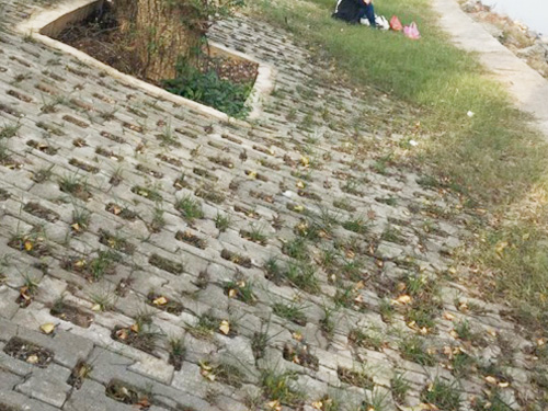 生态护坡
