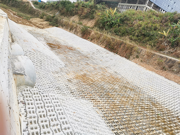 东莞铰链矩阵生态护坡...